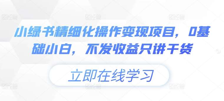 小绿书精细化操作变现项目，0基础小白，不发收益只讲干货-时光论坛