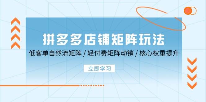 （12720期）拼多多店铺矩阵玩法：低客单自然流矩阵 / 轻付费矩阵 动销 / 核心权重提升-时光论坛
