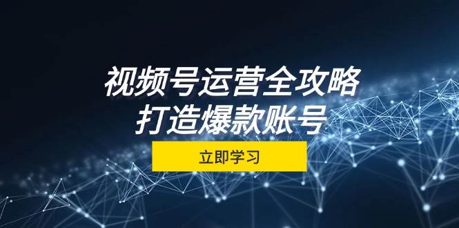 （12912期）视频号运营全攻略，从定位到成交一站式学习，视频号核心秘诀，打造爆款…-时光论坛