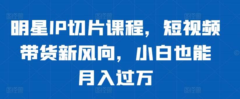 明星IP切片课程，短视频带货新风向，小白也能月入过万-时光论坛