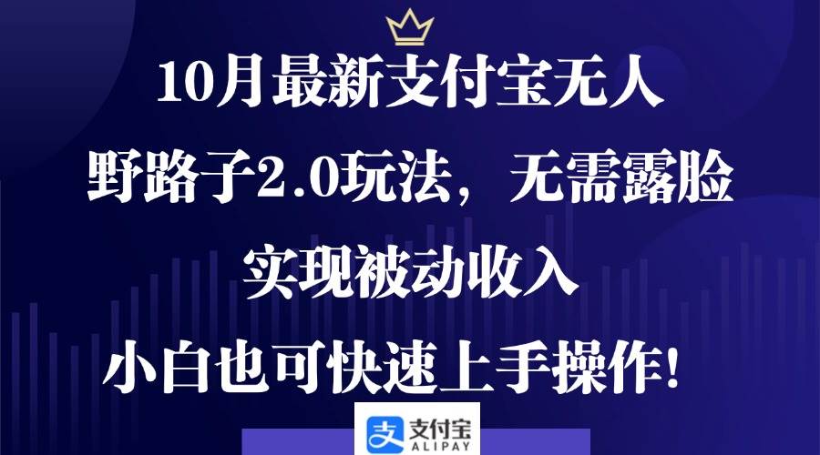 （12824期）10月最新支付宝无人野路子2.0玩法，无需露脸，实现被动收入，小白也可…-时光论坛