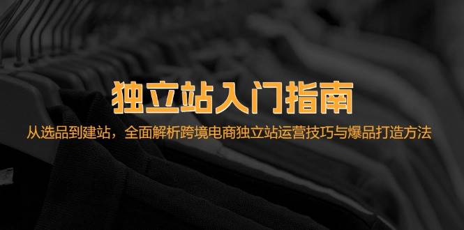 （12882期）独立站入门指南：从选品到建站，全面解析跨境电商独立站运营技巧与爆品…-时光论坛
