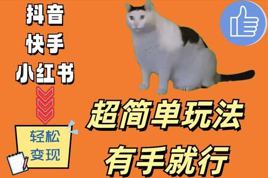 超简单玩法，有手就行，靠猫咪视频日入500+【揭秘】-时光论坛