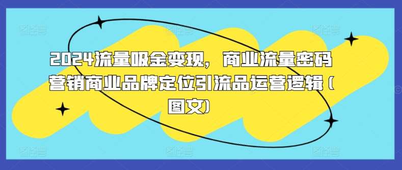 2024流量吸金变现，商业流量密码营销商业品牌定位引流品运营逻辑(图文)-时光论坛
