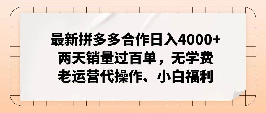（12869期）拼多多最新合作日入4000+两天销量过百单，无学费、老运营代操作、小白福利-时光论坛