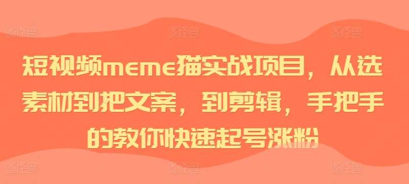 短视频meme猫实战项目，从选素材到把文案，到剪辑，手把手的教你快速起号涨粉-时光论坛