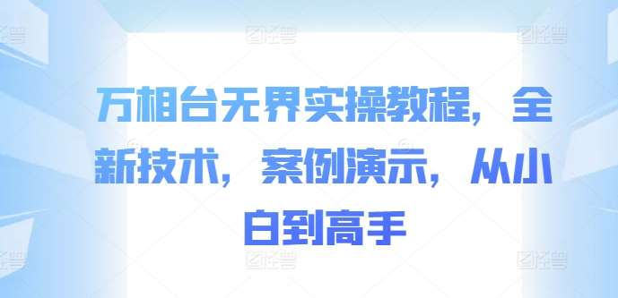 万相台无界实操教程，全新技术，案例演示，从小白到高手-时光论坛