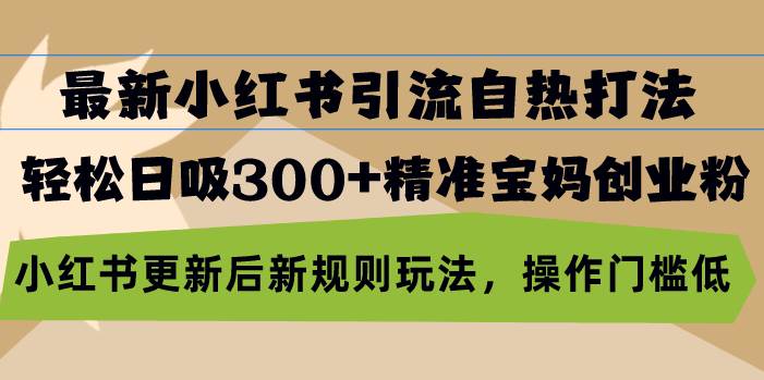 （13145期）最新小红书引流自热打法，轻松日吸300+精准宝妈创业粉，小红书更新后新…-时光论坛