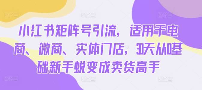 小红书矩阵号引流，适用于电商、微商、实体门店，30天从0基础新手蜕变成卖货高手-时光论坛