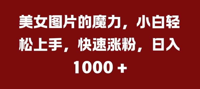 美女图片的魔力，小白轻松上手，快速涨粉，日入几张【揭秘】-时光论坛