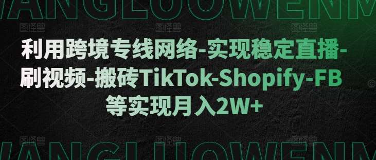 利用跨境专线网络-实现稳定直播-刷视频-搬砖TikTok-Shopify-FB等实现月入2W+【揭秘】-时光论坛