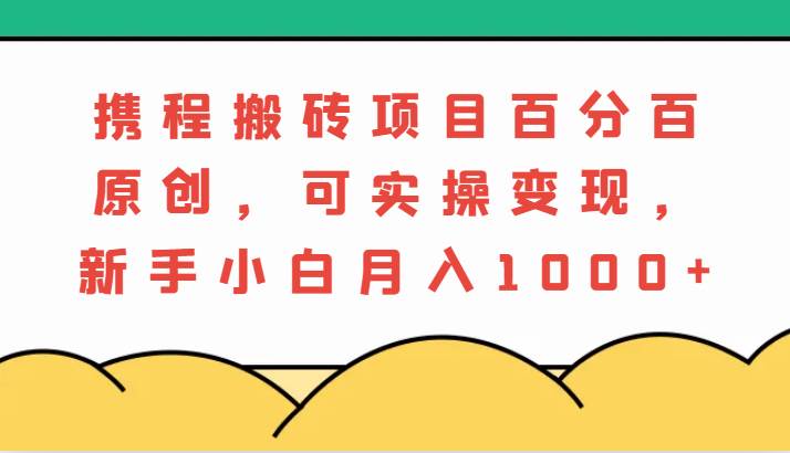 携程搬砖项目，百分百原创，可实操变现，新手小白月入1000+-时光论坛