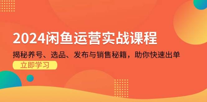 （13290期）2024闲鱼运营实战课程：揭秘养号、选品、发布与销售秘籍，助你快速出单-时光论坛