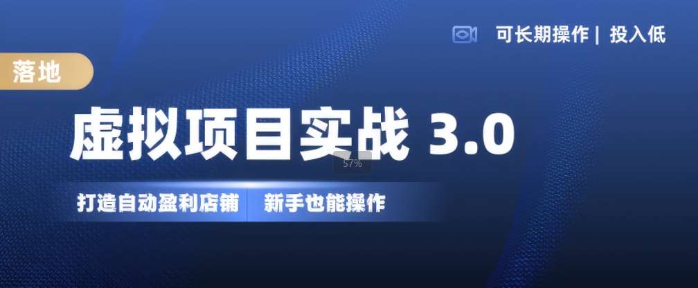 虚拟项目实战3.0，打造自动盈利店铺，可长期操作投入低，新手也能操作-时光论坛