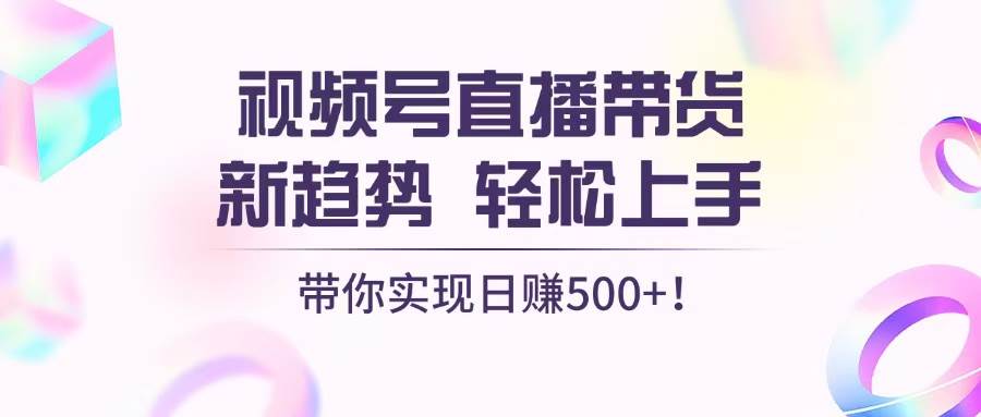 （13370期）视频号直播带货新趋势，轻松上手，带你实现日赚500+-时光论坛