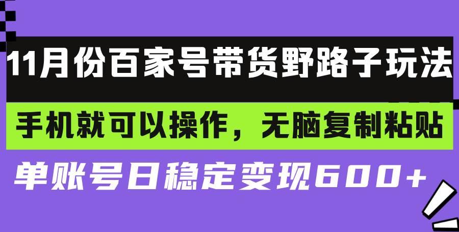 （13281期）百家号带货野路子玩法 手机就可以操作，无脑复制粘贴 单账号日稳定变现…-时光论坛