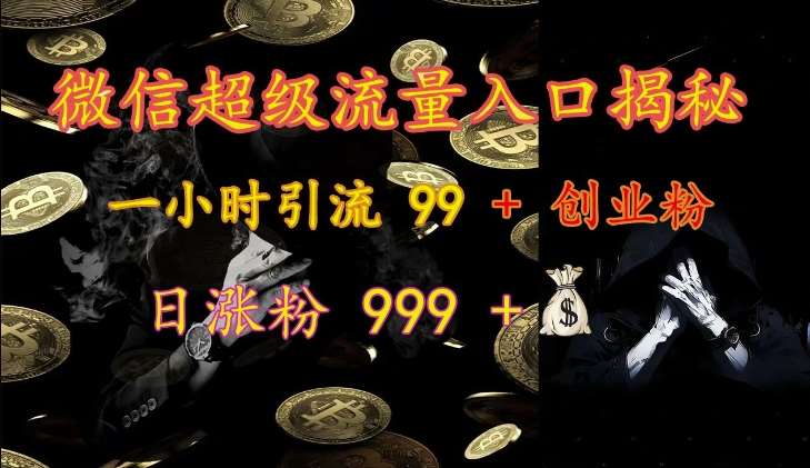 微信超级流量入口揭秘：一小时引流 99 + 创业粉，日涨粉 999 +-时光论坛