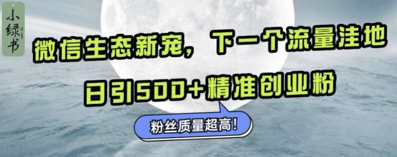 微信生态新宠小绿书：下一个流量洼地，日引500+精准创业粉，粉丝质量超高-时光论坛