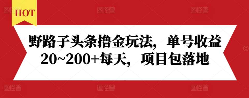 野路子头条撸金玩法，单号收益20~200+每天，项目包落地-时光论坛