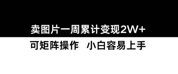 小红书【卖图片】一周累计变现2W+小白易上手-时光论坛