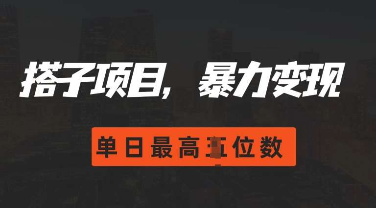 2024搭子玩法，0门槛，暴力变现，单日最高破四位数【揭秘】-时光论坛