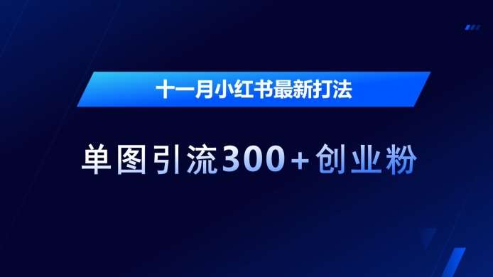 十一月小红书最新打法，单图引流300+创业粉【揭秘】-时光论坛