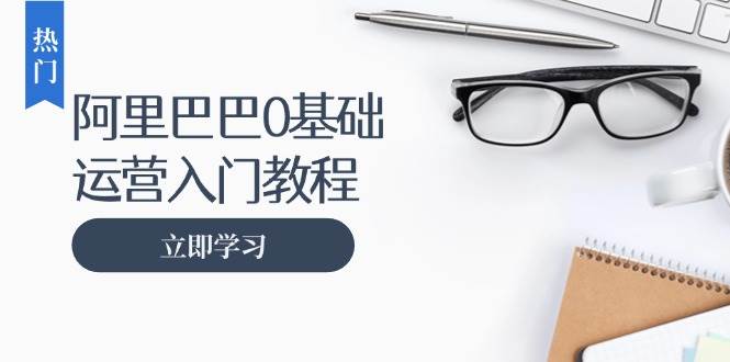 （13291期）阿里巴巴运营零基础入门教程：涵盖开店、运营、推广，快速成为电商高手-时光论坛