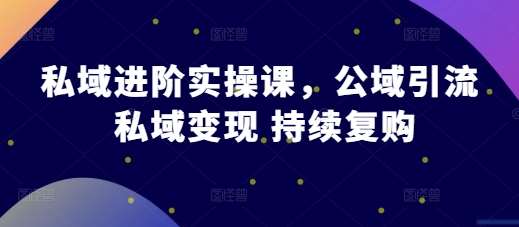 私域进阶实操课，公域引流 私域变现 持续复购-时光论坛