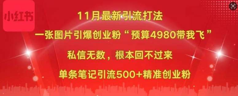 小红书11月最新图片打粉，一张图片引爆创业粉，“预算4980带我飞”，单条引流500+精准创业粉-时光论坛