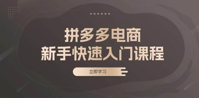 （13289期）拼多多电商新手快速入门课程：涵盖基础、实战与选款，助力小白轻松上手-时光论坛