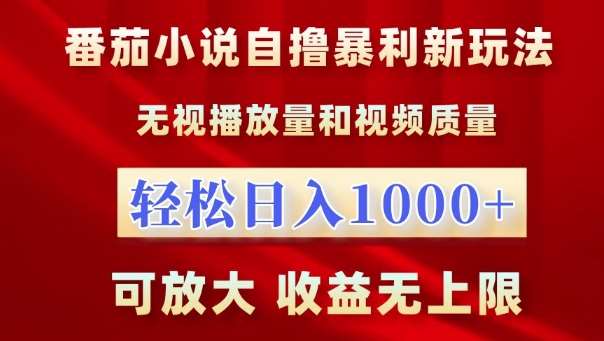 番茄小说自撸暴利新玩法，无视播放量，轻松日入1k，可放大，收益无上限【揭秘】-时光论坛