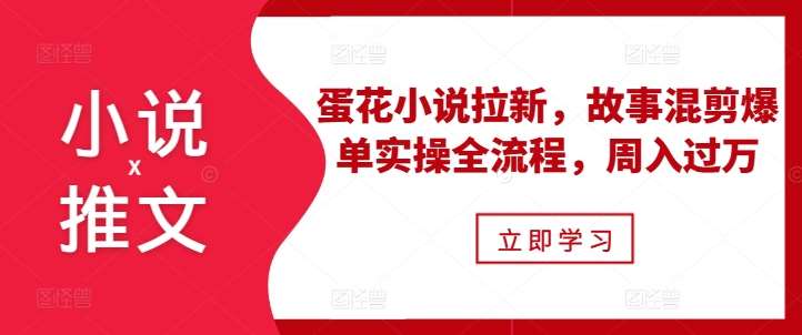 小说推文之蛋花小说拉新，故事混剪爆单实操全流程，周入过万-时光论坛