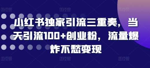 小红书独家引流三重奏，当天引流100+创业粉，流量爆炸不愁变现【揭秘】-时光论坛