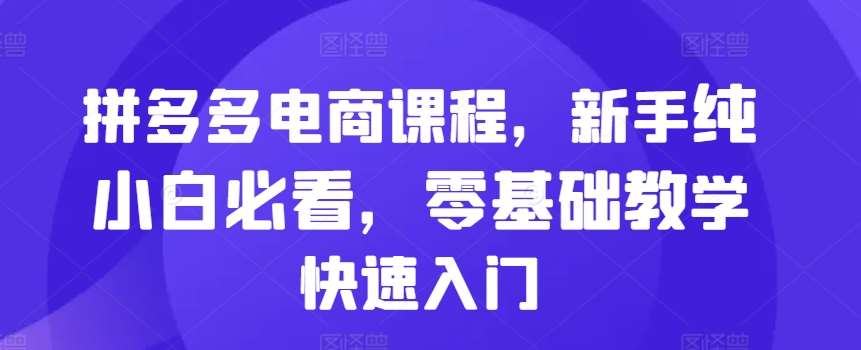 拼多多电商课程，新手纯小白必看，零基础教学快速入门-时光论坛