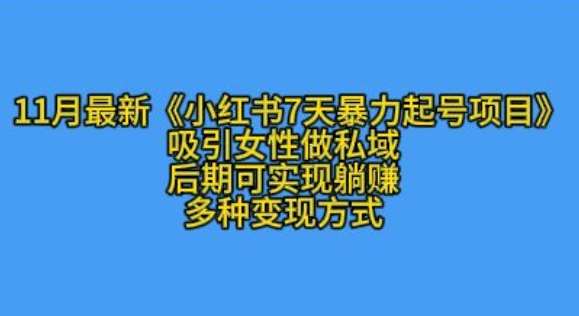 K总部落11月最新小红书7天暴力起号项目，吸引女性做私域【揭秘】-时光论坛