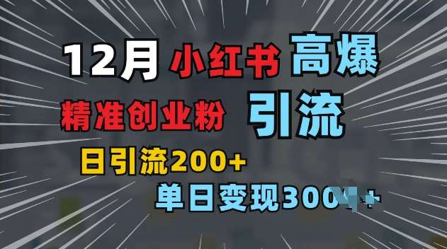 小红书一张图片“引爆”创业粉，单日+200+精准创业粉 可筛选付费意识创业粉【揭秘】-时光论坛