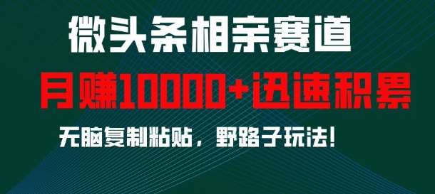 微头条相亲赛道，迅速积累，无脑复制粘贴，野路子玩法，月入1w-时光论坛