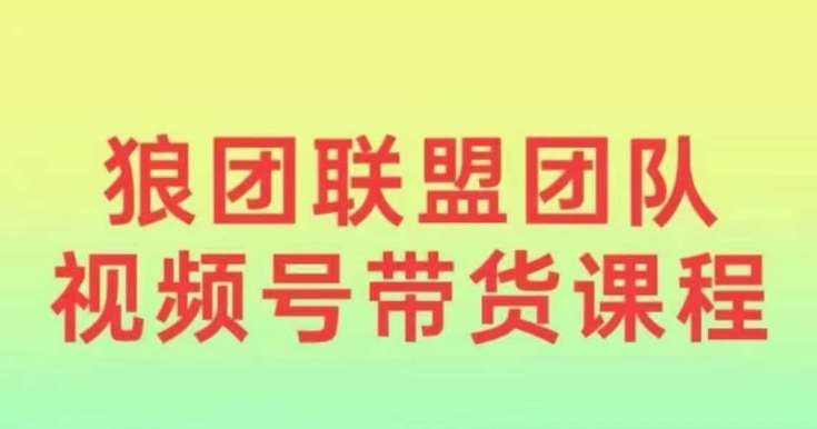 狼团联盟2024视频号带货，0基础小白快速入局视频号-时光论坛