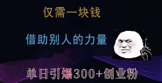 仅需一块钱，借助别人的力量，单日引爆300+创业粉、兼职粉【揭秘】-时光论坛