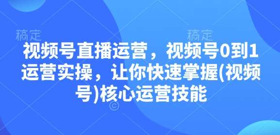 视频号直播运营，视频号0到1运营实操，让你快速掌握(视频号)核心运营技能-时光论坛