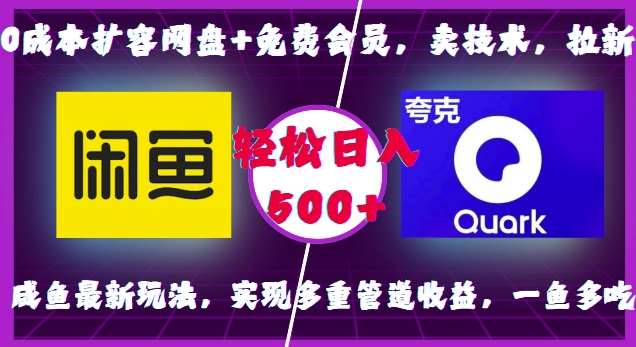 0成本扩容网盘+免费会员，卖技术，拉新，咸鱼最新玩法，实现多重管道收益，一鱼多吃，轻松日入500+-时光论坛
