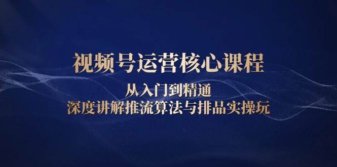 视频号运营核心课程，从入门到精通，深度讲解推流算法与排品实操玩-时光论坛