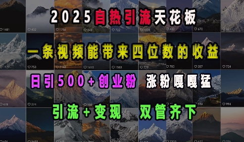 2025自热引流天花板，一条视频能带来四位数的收益，引流+变现双管齐下，日引500+创业粉，涨粉嘎嘎猛-时光论坛