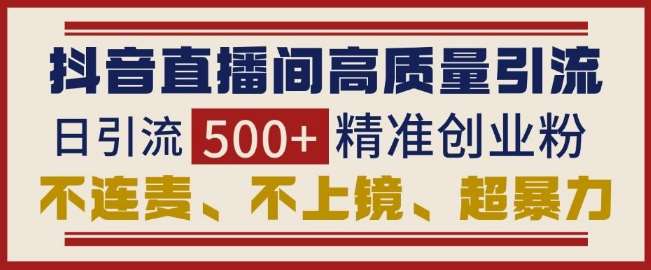 抖音直播间引流创业粉，无需连麦、不用上镜、超暴力，日引流500+高质量精准创业粉-时光论坛