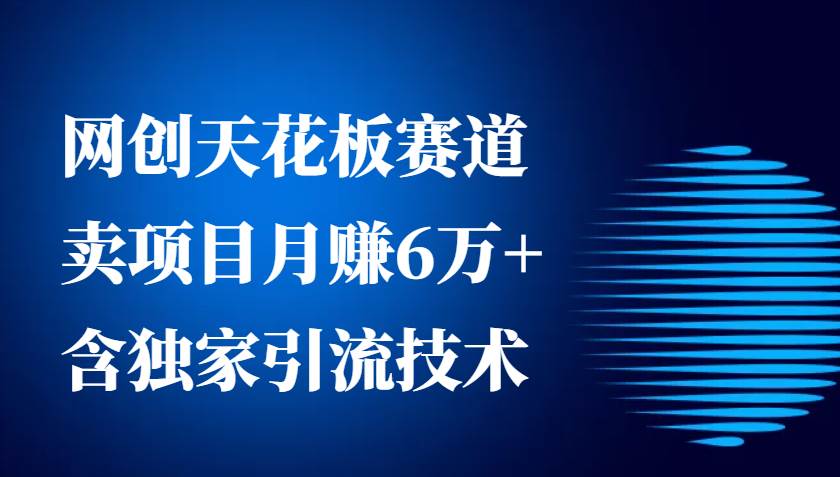 网创天花板赛道，卖项目月赚6万+，含独家引流技术（共26节课）-时光论坛