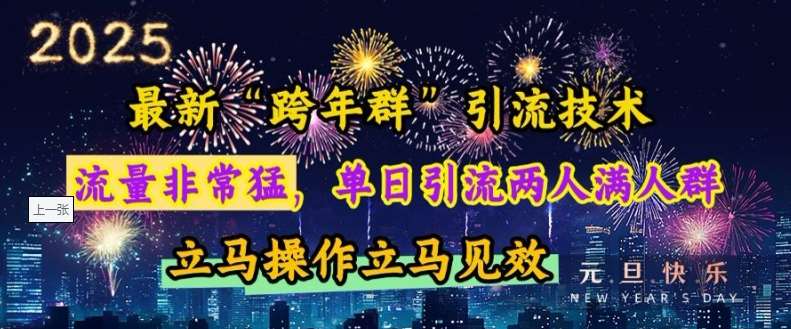 最新“跨年群”引流，流量非常猛，单日引流两人满人群，立马操作立马见效【揭秘】-时光论坛