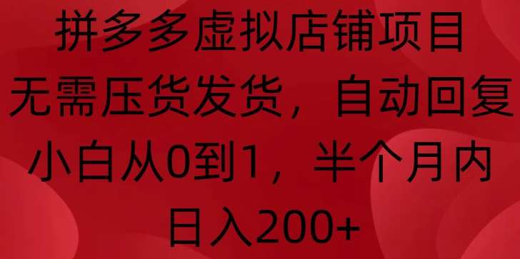 拼多多虚拟店铺项目，无需压货发货，自动回复，小白从0到1，半个月内日入200+【揭秘】-时光论坛