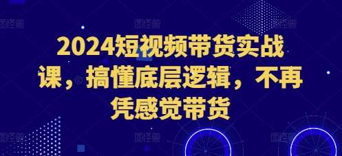 2024短视频带货实战课，搞懂底层逻辑，不再凭感觉带货-时光论坛