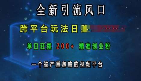 全新引流风口，跨平台玩法日入上k，单日狂揽200+精准创业粉，一个被严重忽略的视频平台-时光论坛