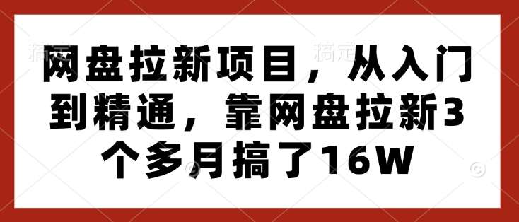 网盘拉新项目，从入门到精通，靠网盘拉新3个多月搞了16W-时光论坛